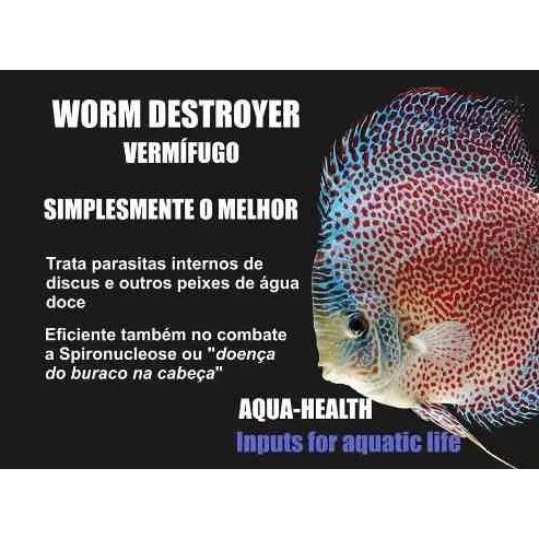 Worm Eliminates Destroyer - Imagem 4