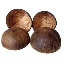 Toca de Coco Natural – Kit com 4 Unidades – Para Aquários e Terrários