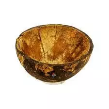 Toca de Coco Natural – Kit com 4 Unidades – Para Aquários e Terrários - Imagem 2