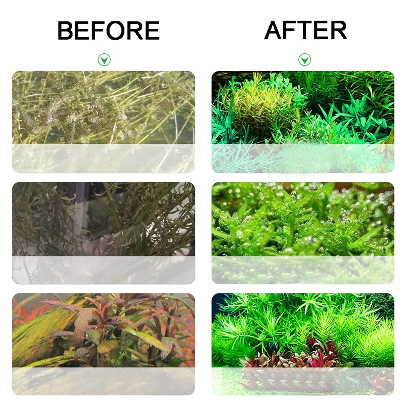 Kit Cilindro Gerador de CO2 para Aquário Plantado em Aço Inoxidável – 1L ou 2L - Imagem 4