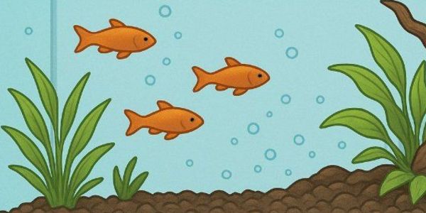 A Importância Crucial do Substrato no Equilíbrio Biológico do Aquário