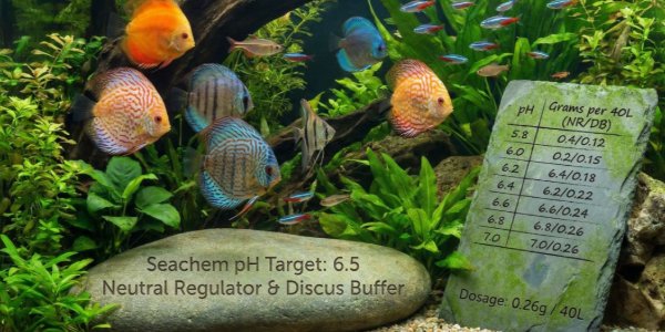 Ajuste de pH com Neutral Regulator + Discus Buffer