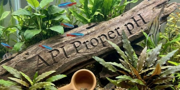 Ajuste de pH com API Proper pH